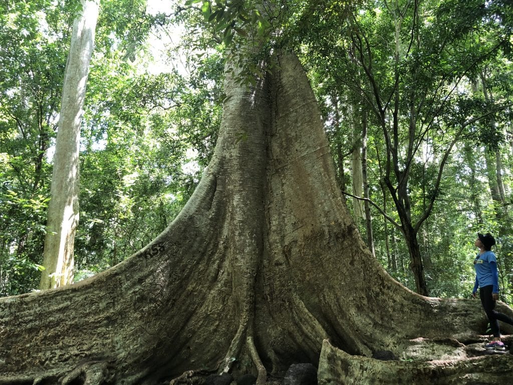 Nam Cát Tiên - địa điểm du lịch cho trẻ em dịp cuối tuần | Phuotvivu