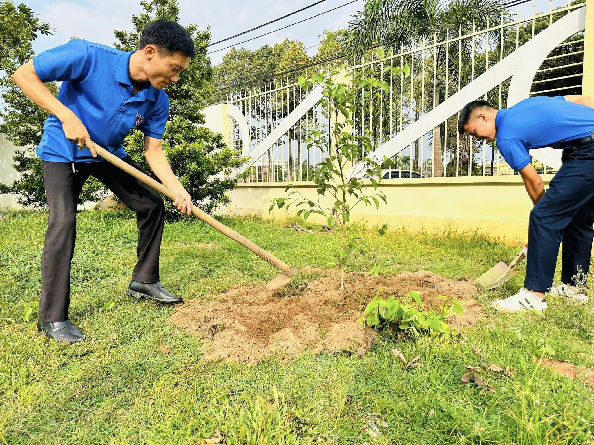 Không có mô tả ảnh.