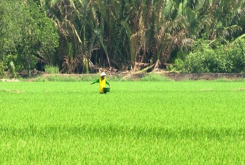 Description: D:\BAO DONG NAI\WEB HUYEN\New folder (5)\13105-3.jpg