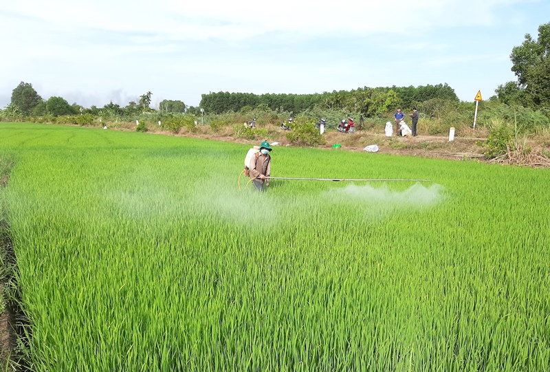 Description: D:\BAO DONG NAI\WEB HUYEN\New folder (5)\13105-2.jpg