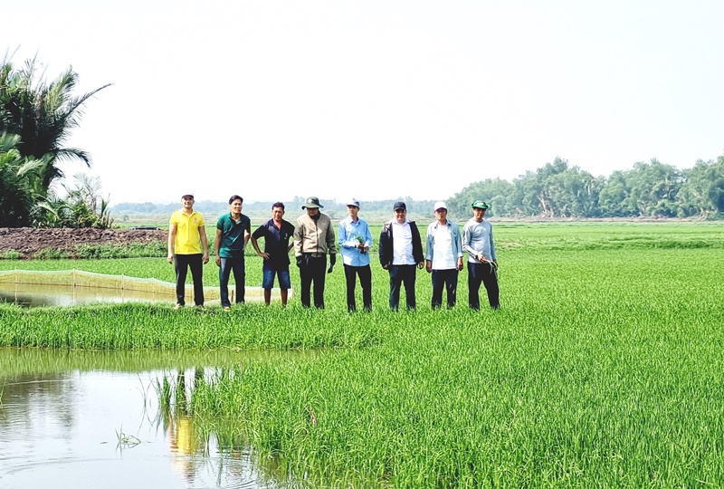 Description: D:\BAO DONG NAI\WEB HUYEN\New folder (5)\13105-1.jpg