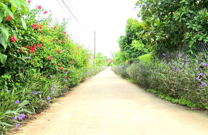 Description: D:\BAO DONG NAI\WEB HUYEN\New folder\12907-4.jpg