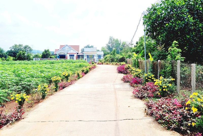 Description: D:\BAO DONG NAI\WEB HUYEN\New folder\12907-3.jpg