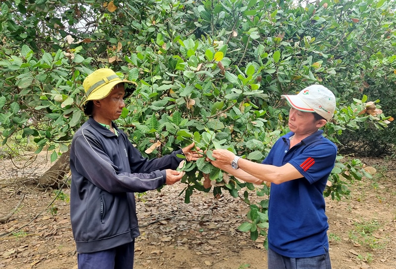 Description: D:\BAO DONG NAI\WEB HUYEN\New folder (5)\14536-7.jpg