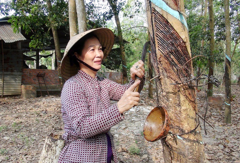 Description: D:\BAO DONG NAI\WEB HUYEN\TUYEN GIAO\New folder (19)\kieu 1.JPG