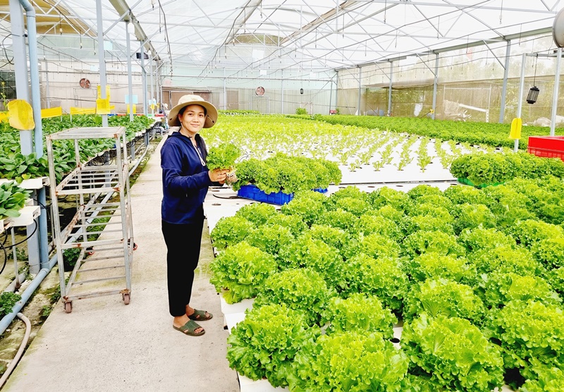 Description: D:\BAO DONG NAI\WEB HUYEN\New folder (3)\PN 2.jpg