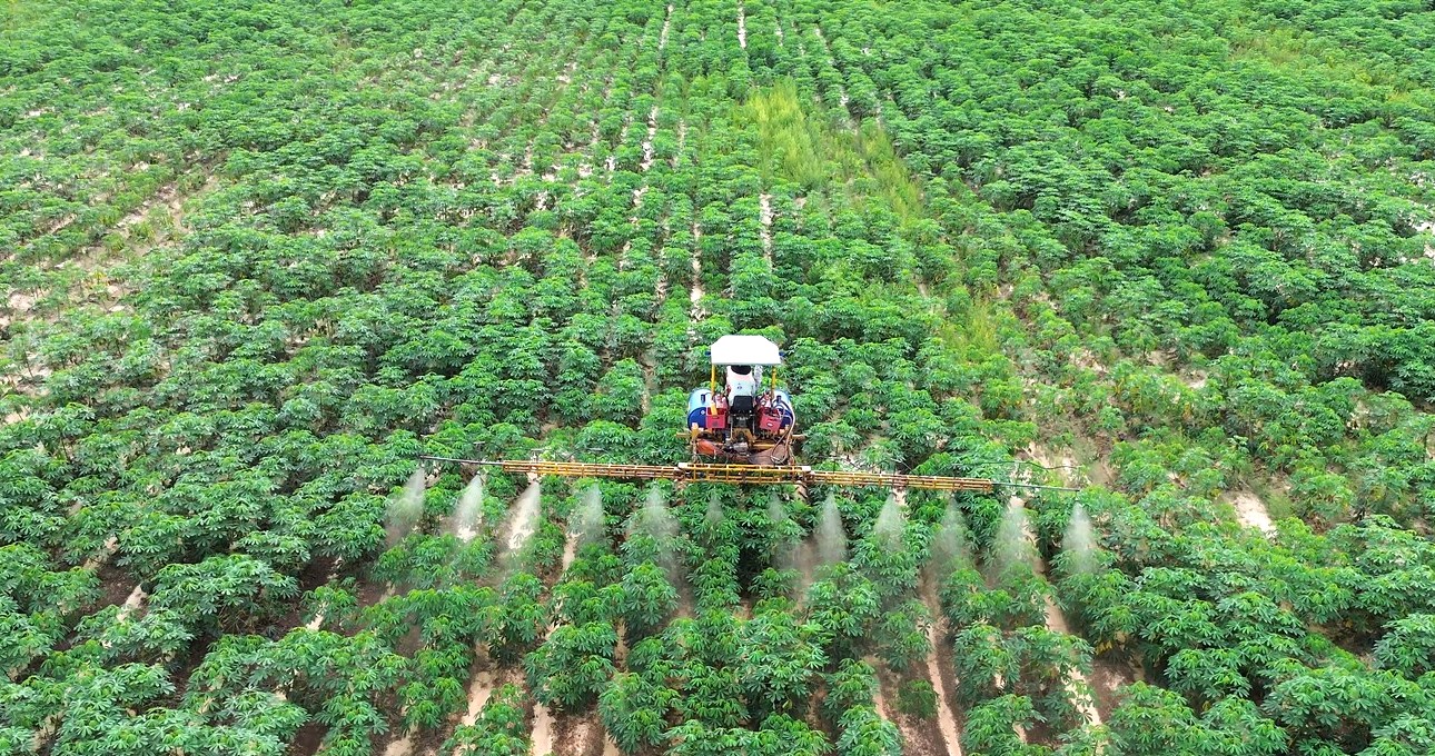 Description: D:\Tin Bai\Nam 2024\Thang 10\Bài\NÔNG DÂN ỨNG DỤNG CÔNG NGHỆ CAO\HÌNH\DJI_0258 (1).MP4_snapshot_00.06.150.jpg