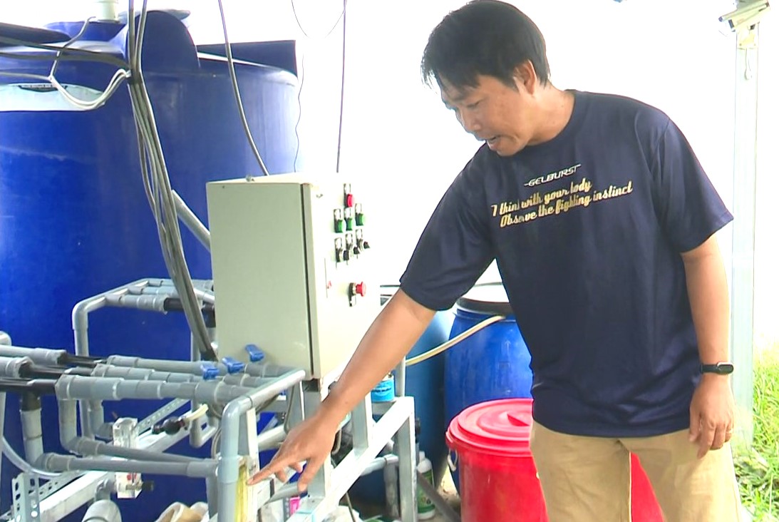 Description: D:\Tin Bai\Nam 2024\Thang 10\Bài\NÔNG DÂN ỨNG DỤNG CÔNG NGHỆ CAO\HÌNH\hinh dua luoi.mp4_snapshot_07.08.501.jpg