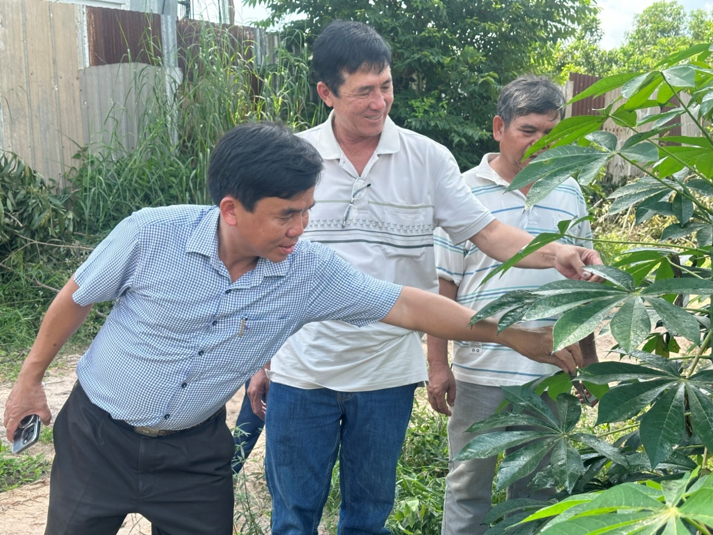 Description: D:\Tin Bai\Nam 2024\Thang 10\Bài\NÔNG DÂN ỨNG DỤNG CÔNG NGHỆ CAO\HÌNH\z5939146582979_800046984206bd21f8dd6d67c29e7e3c.jpg